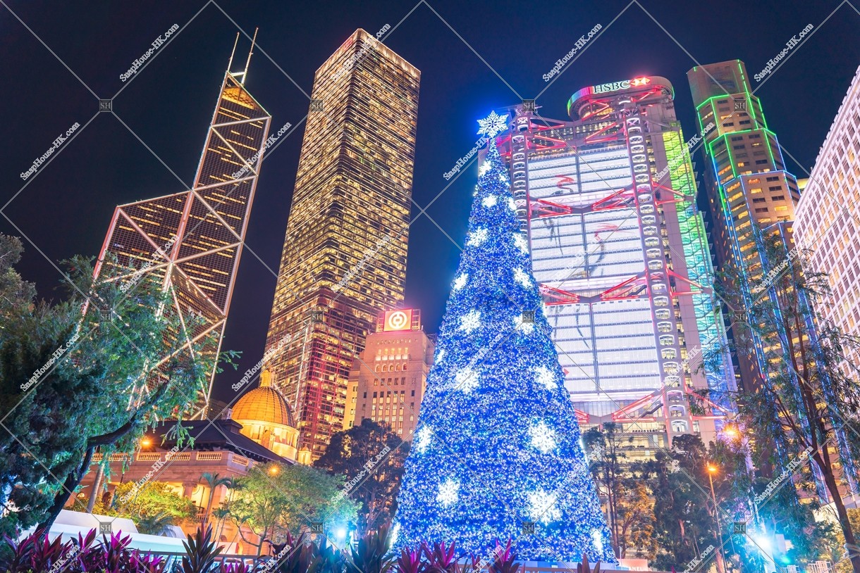 Night view of High-rise buildings and Christmas tree at Central, No.2
