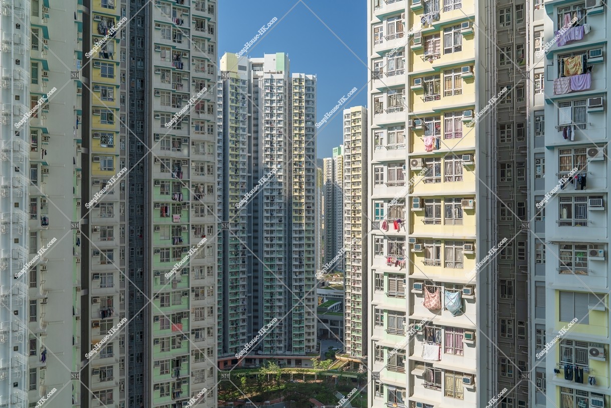 Hong Kong Public Estate, No.5