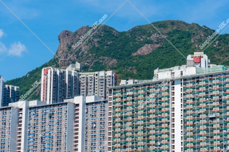 Lion Rock and street view of Wong Tai Sin, No.6
