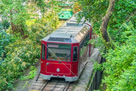 Peak Tram running through the trees