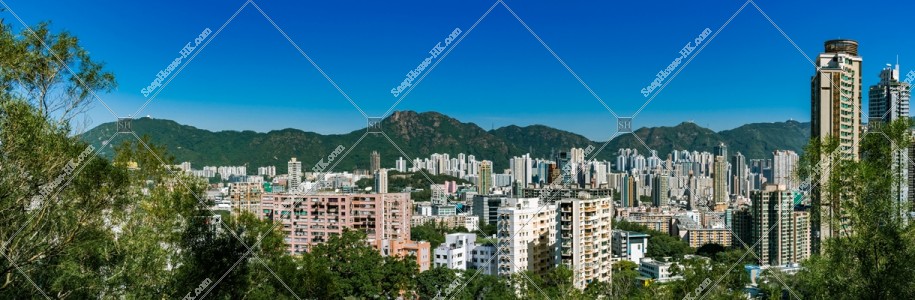 Panoramic view of Kowloon and Lion Rock