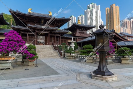 The Maitreya Hall, Chi Lin Nunnery, No.10