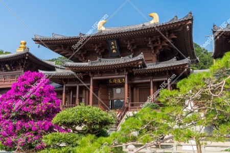 The Maitreya Hall, Chi Lin Nunnery, No.11