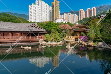 Pavilion Bridge, Song Cha Xie and ponds seen from the viewing stand, Nan Lian Garden, No.4