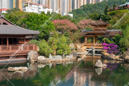 Pavilion Bridge, Song Cha Xie and ponds seen from the viewing stand, Nan Lian Garden, No.5