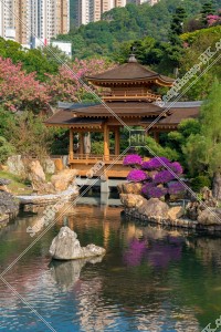 Pavilion Bridge and ponds, Nan Lian Garden, No.3