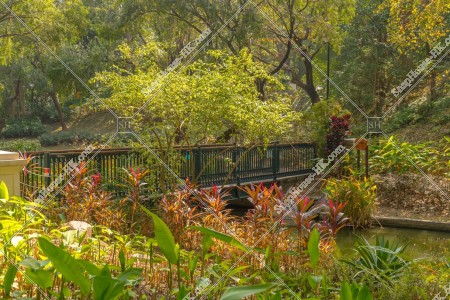 View of Tsing Yi Park, No.7