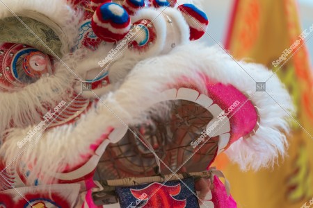 Lion dancing, Chinese New Year, No.2