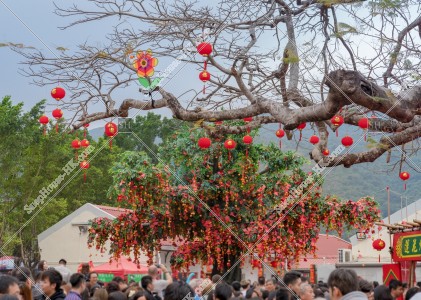 Wishing Trees, Lam Tsuen, Tai Po, No.6