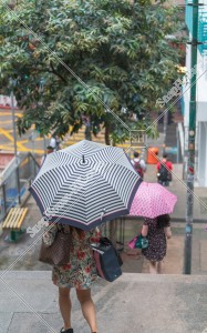 Women holding an umbrella