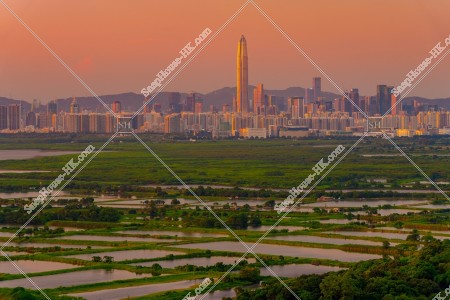 Evening view of ponds at Fung Lok Wai, and Shenzhen, No.3