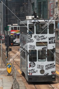 Hong Kong Tramway traveling through Quarry Bay, No.2