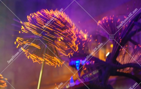 Tai Hang Fire Dragon Dance of Mid-Autumn Festival, No.13