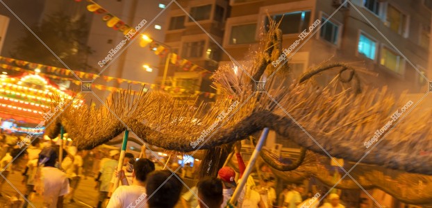 Tai Hang Fire Dragon Dance of Mid-Autumn Festival, No.19