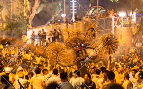 Tai Hang Fire Dragon Dance of Mid-Autumn Festival, No.29