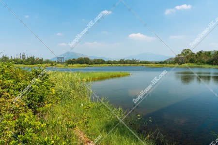 Wetland in Hong Kong Wetland Park, No.3
