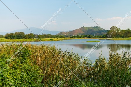 Wetland in Hong Kong Wetland Park, No.4