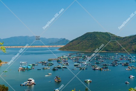 View of Plover Cove in Sam Mun Tsai, No.3