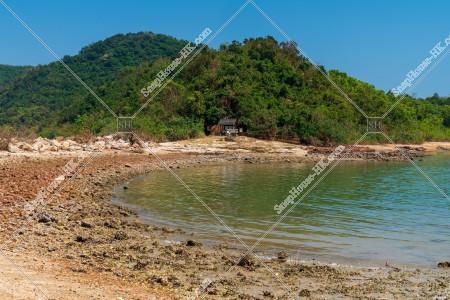 View of Trees and seashore at Ma Shi Chau , No.1