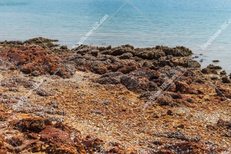 View of seashore at Ma Shi Chau , No.7