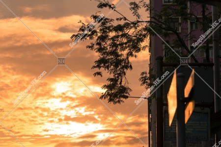 Sunset view of Yau Ma Tei, No.1