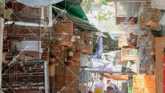 Bamboo cages at Chinese garden at Bird Garden, No.2