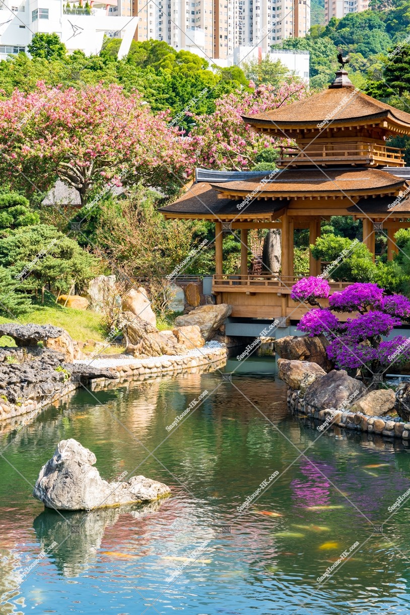 南蓮園池 亭橋和水池 其之二