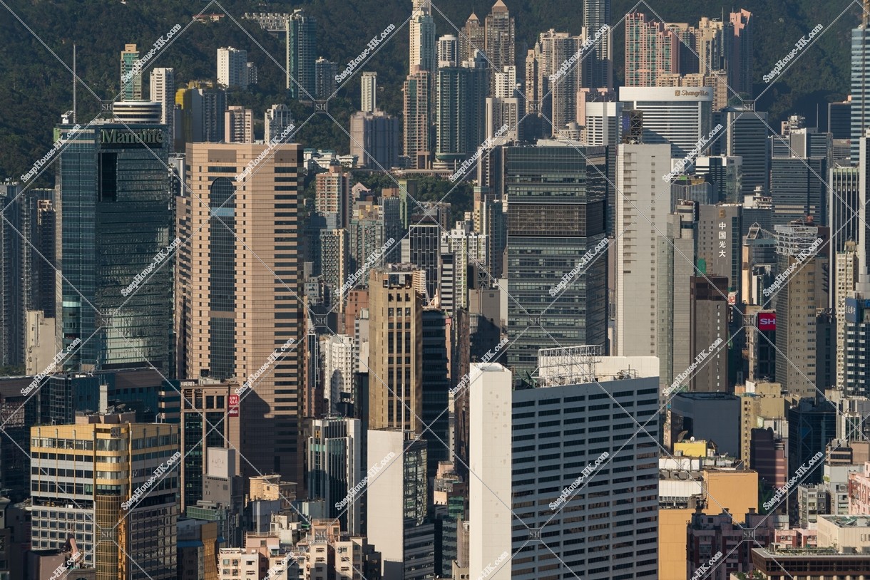 銅鑼灣的高樓大廈 