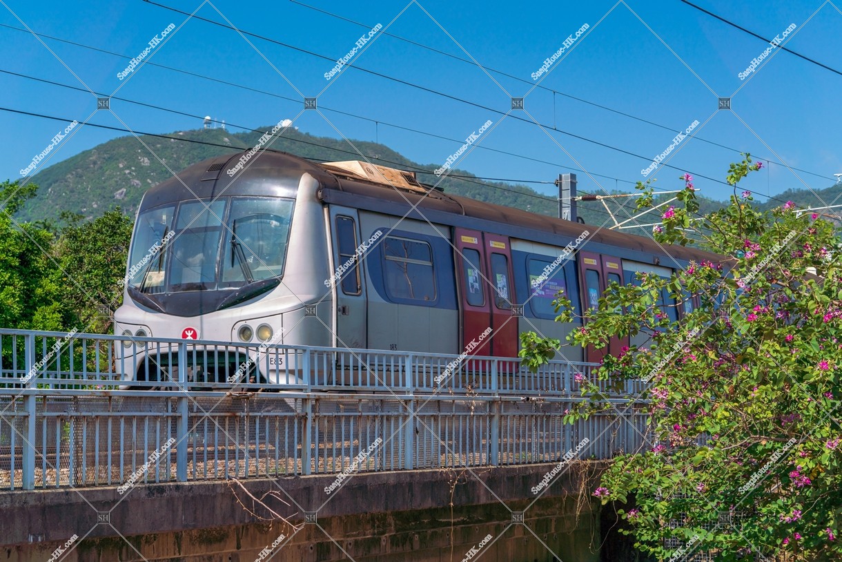 港鐵 東鐵綫 行駛中的火車 其之三