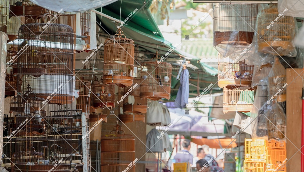 園圃街雀鳥花園 鳥籠 其之二