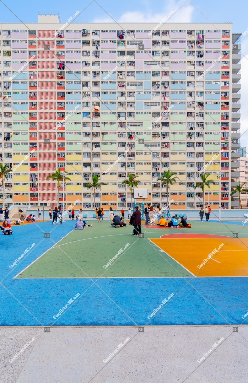 彩虹 公屋「彩虹邨」 其之九