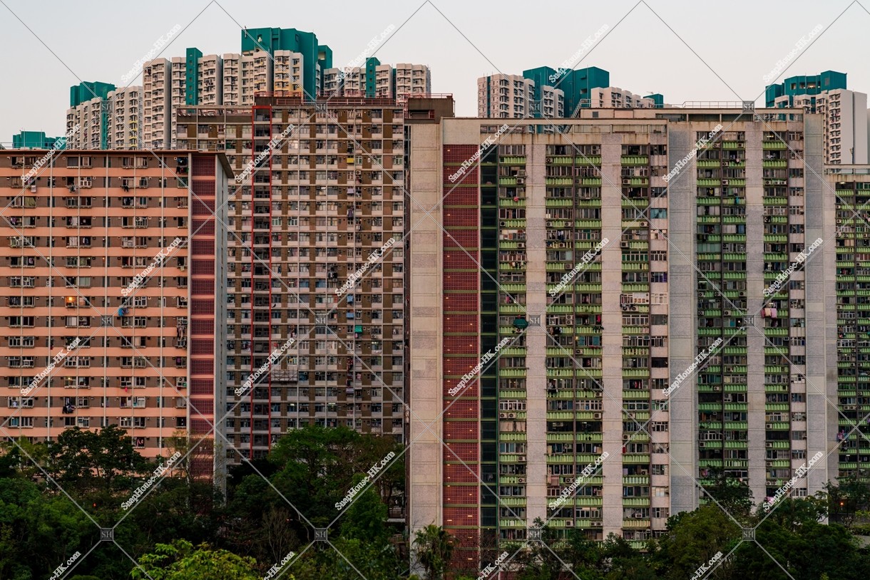 九龍東 黃昏時的公屋大廈 其之六