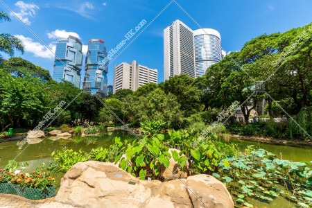 香港公園和金鐘的景色 其之七