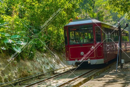 走向樹林中下山的山頂鑬車