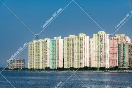 沙田海及馬鞍山的大廈群