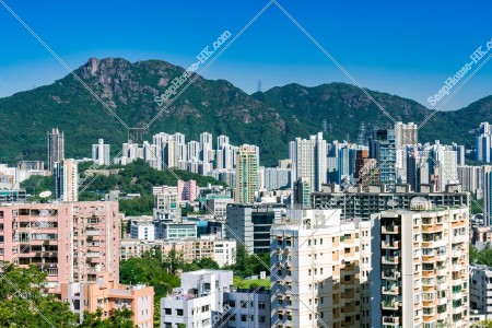 獅子山的大廈群