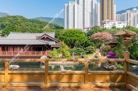 南蓮園池 從觀景台看到的亭橋、松茶榭和水池 其之一