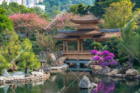 南蓮園池 亭橋和水池 其之四