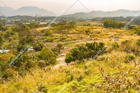 坪洋 草原的風景 其之二