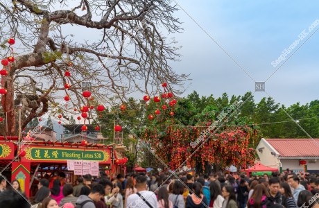 大埔林村 農曆新年的樣子 其之二