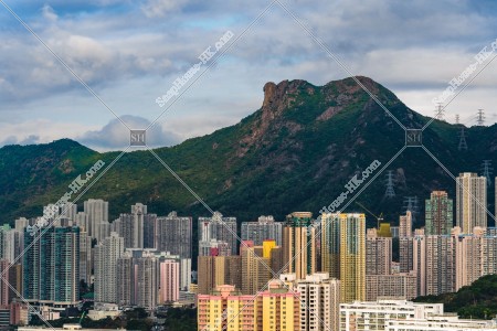 牛池灣的大廈和獅子山 其之二