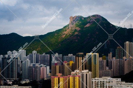 牛池灣的大廈和獅子山 其之三