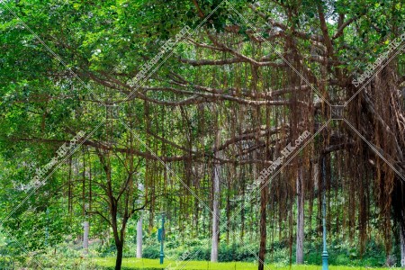 香港迪士尼樂園度假區 幻想道的風景 其之二