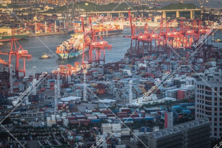 葵青貨櫃碼頭的風景