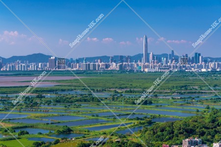 豐樂圍的水塘和深圳的景色 其之四