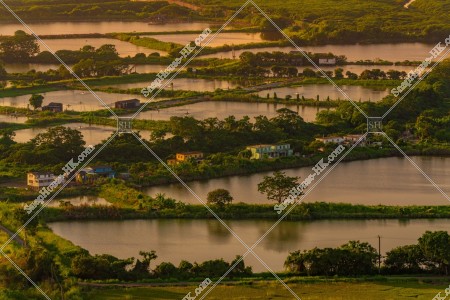 豐樂圍 水塘的黃昏景色 其之一