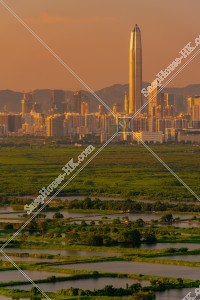 豐樂圍的水塘和深圳的黃昏景色 其之一