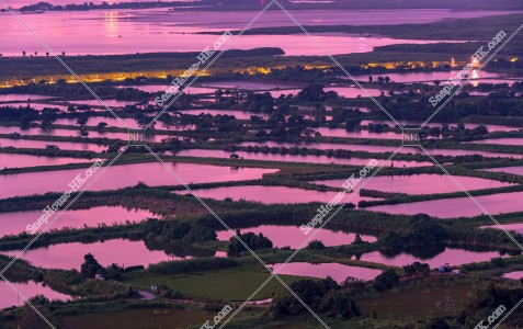 豐樂圍 水塘的黃昏景色 其之三