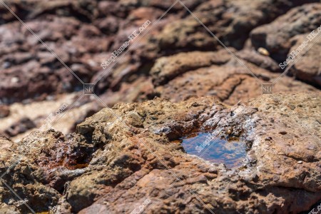 馬屎洲 海岸邊的岩石