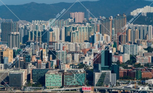 九龍的風景